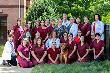 Our team at Midlothian Animal Clinic in Midlothian, VA