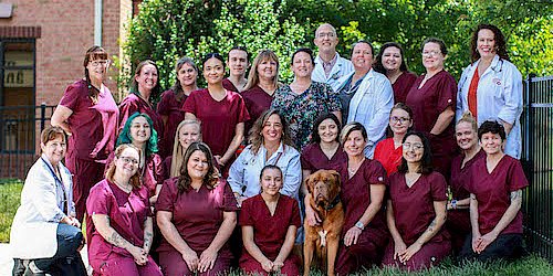 About Midlothian Animal Clinic